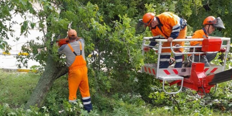 Мэр Артемов: во время урагана в Рязани пострадала женщина