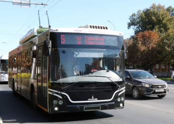 Четыре рязанских троллейбуса изменят схему движения из-за спила аварийных деревьев Четыре рязанских троллейбуса изменят схему движения из-за спила аварийных деревьев