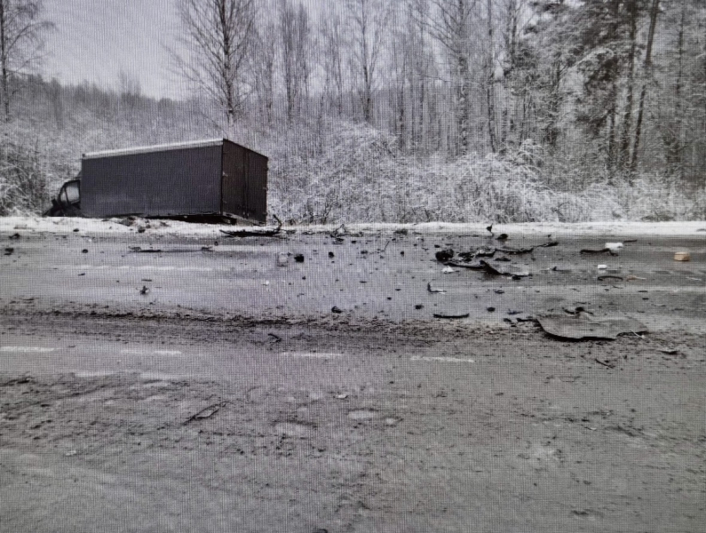 В ДТП в Клепиковском районе пострадали два человека