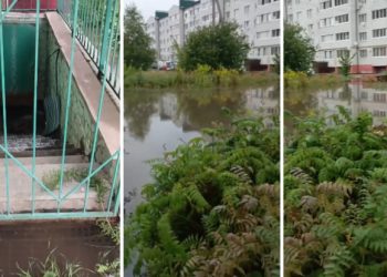 В рязанском Рыбном местные жители самостоятельно выкачивают воду из подвала после ливней