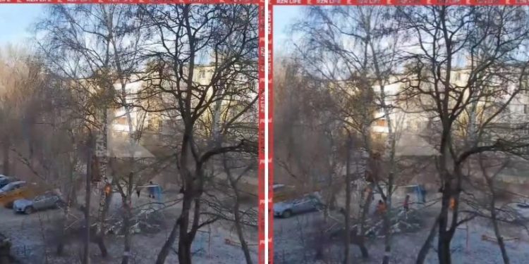 Рязанка сообщила о спиле здоровых деревьев на улице Затинной