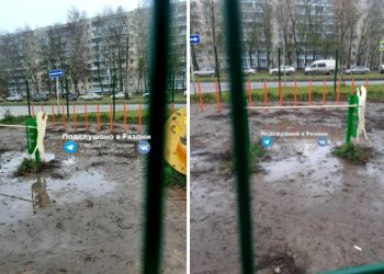 Рязанцы пожаловались на бездомных собак на детской площадке в Канищеве