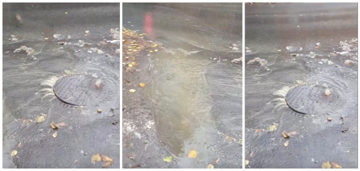 Рязанцы жалуются на прорыв канализации, который не устраняют