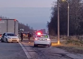 В ДТП в Спасском районе пострадали три человека, в том числе два ребенка