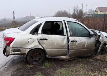 В ДТП в Рязанском районе погибла 33-летняя женщина