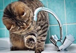 В Рязани отключили холодную воду