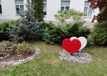 На территории Рязанского кардиодиспансера установили инсталляцию в виде двух сердец На территории Рязанского кардиодиспансера установили инсталляцию в виде двух сердец