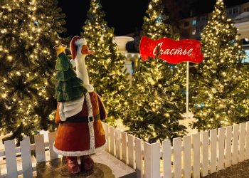 Рязанский ЗАГС предлагает влюбленным заключить брак в Резиденции деда Мороза