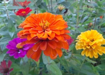 Во вторник в Рязанской области ожидается до +24 градусов Во вторник в Рязанской области ожидается до +24 градусов