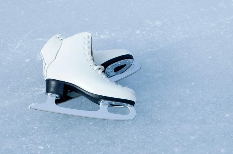 Рязанская ВДНХ закрыла каток