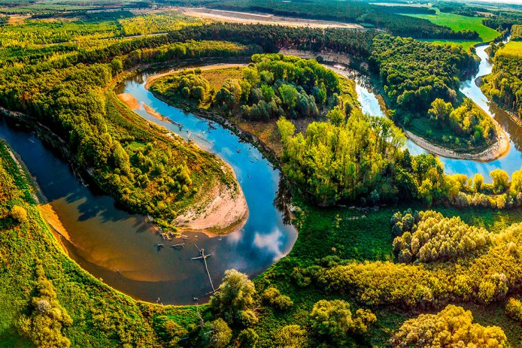 В Рязани введут экомониторинг