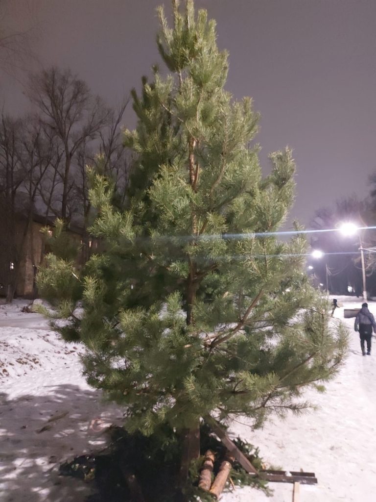 В рязанском Дягилеве заменили новогоднюю ель, вид которой расстроил местных жителей