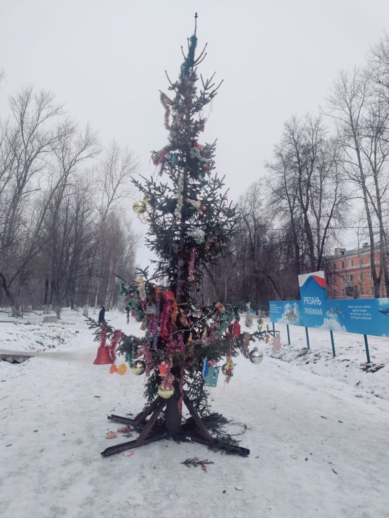 Горожане остались недовольны новогодней елкой, установленной в рязанском Дягилеве