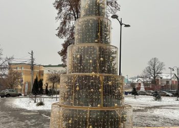 В Рязани появилась креативная аллея елок В Рязани появилась креативная аллея елок