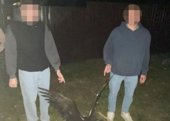 Полицейские поймали касимовцев, укравших бронзовую фигуру гуся в поселке Гусь-Железный Полицейские поймали касимовцев, укравших бронзовую фигуру гуся в поселке Гусь-Железный