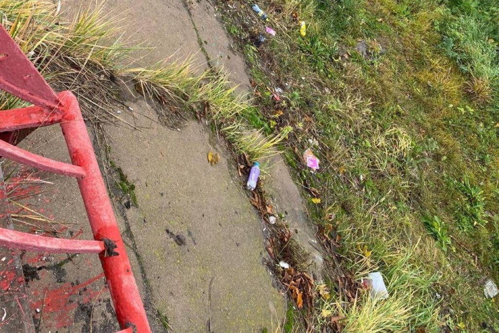 Рязанцы пожаловались на мусор около Горбатого моста