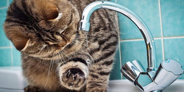 Завтра в Рязани отключат воду на многих улицах