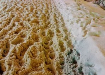 Школьники в Рязани не могут добраться до учебы