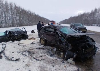Под Новый Год в ДТП под Рязанью погибли два человека