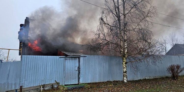 На крупном пожаре в Захаровском районе погибла собака На крупном пожаре в Захаровском районе погибла собака