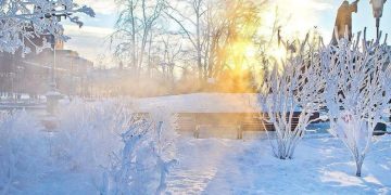 Морозы уже дошли до Рязанской области