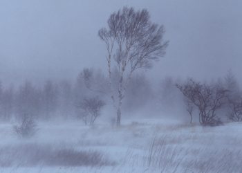 Снежная буря надвигается на Рязань