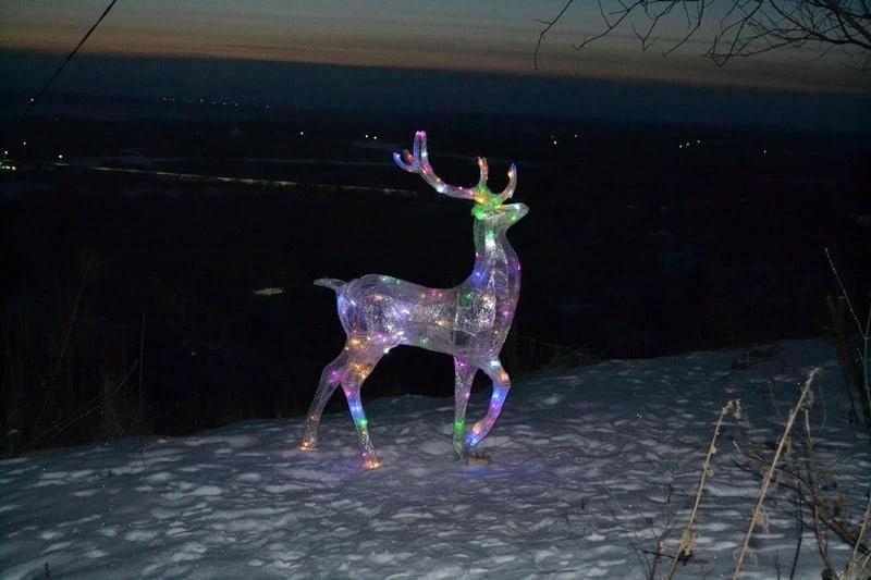 Житель Пронска Александр Клещин смастерил светящегося оленя и установил его на холме