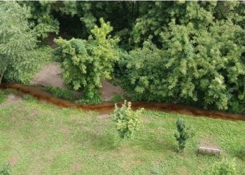 В Рязани вода в ручье Быстрец перекрасилась в коричневый цвет В Рязани вода в ручье Быстрец перекрасилась в коричневый цвет