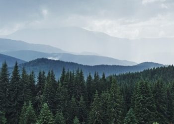 За прошедшую неделю в Рязанской области произошло два пожара