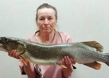 Поймавшей в рязанском Сасове 8-килограммовую щуку женщине может грозить штраф