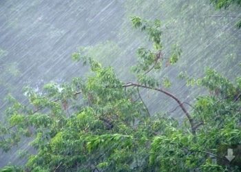 Рязанцев предупредили о резком ухудшении погоды Рязанцев предупредили о резком ухудшении погоды