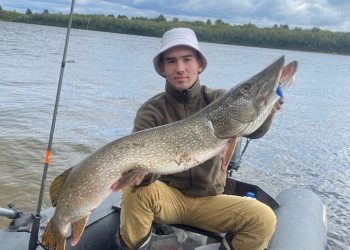 В рязанском Касимове рыбак поймал огромную щуку В рязанском Касимове рыбак поймал огромную щуку