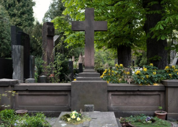 В Рязанской области смертность превышает рождаемость В Рязанской области смертность превышает рождаемость