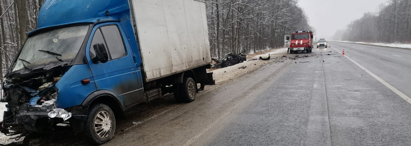 В ДТП в Шацком районе пострадали два человека