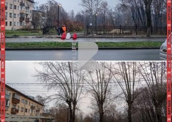 Рязанцы пожаловались на вырубку деревьев в ЦПКиО Рязанцы пожаловались на вырубку деревьев в ЦПКиО