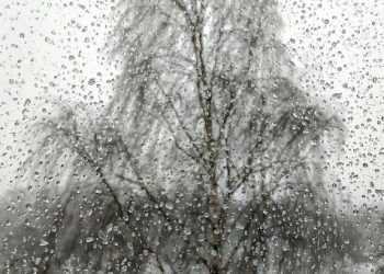 Рязань ждет плохая погода