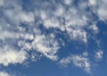 Рязанская область ввела штрафы до 500 тысяч рублей за публикацию сведений об атаках БПЛА Рязанская область ввела штрафы до 500 тысяч рублей за публикацию сведений об атаках БПЛА