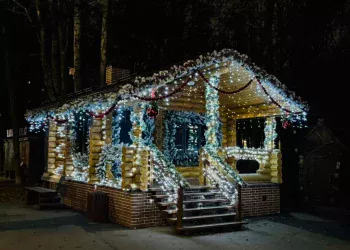 Рязанцам объявили дату открытия Резиденции Деда Мороза в Лесопарке