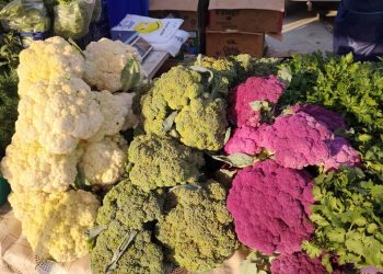 На ярмарках выходного дня рязанцы купили 5,6 тонны мяса и 3,9 тонны молока