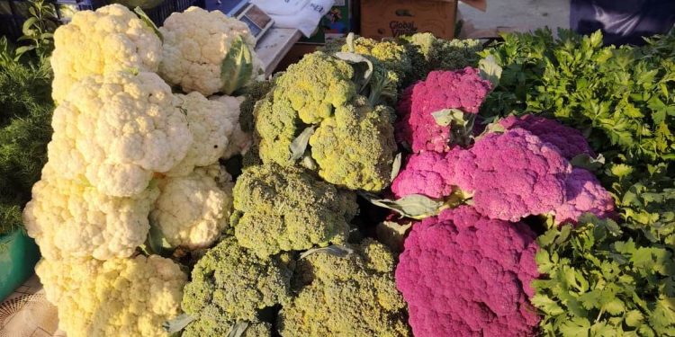 На ярмарках выходного дня рязанцы купили 5,6 тонны мяса и 3,9 тонны молока