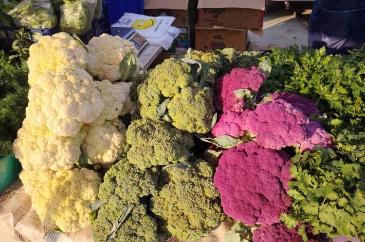 На ярмарках выходного дня рязанцы купили 5,6 тонны мяса и 3,9 тонны молока