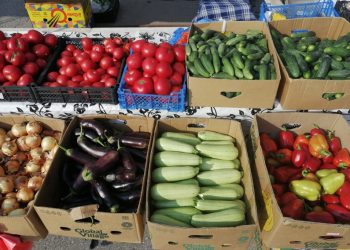 На рязанских ярмарках выходного дня горожане купили 6 тонн мяса и 4 тонны молока