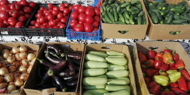 На рязанских ярмарках выходного дня горожане купили 6 тонн мяса и 4 тонны молока