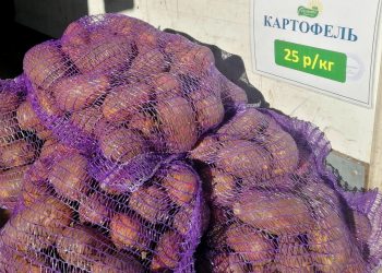 На ярмарках выходного дня рязанцы купили 6 тонн мяса и 4 тонны молока