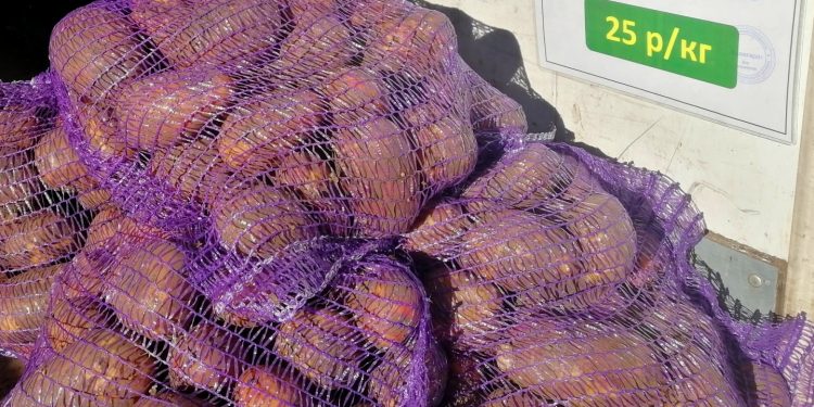 На ярмарках выходного дня рязанцы купили 6 тонн мяса и 4 тонны молока