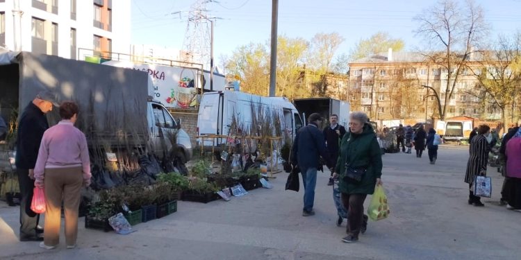 На ярмарках выходного дня в Рязани продали 7 тонн мяса и 4,6 тонны хлеба