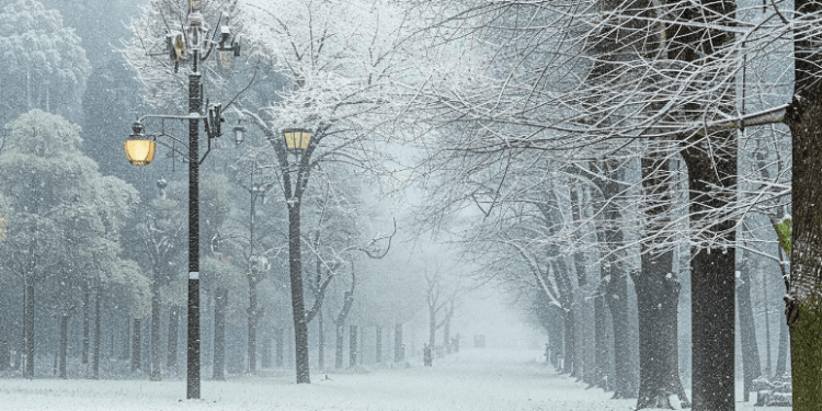 В четверг в Рязанской области ожидается мокрый снег и до +1 градуса