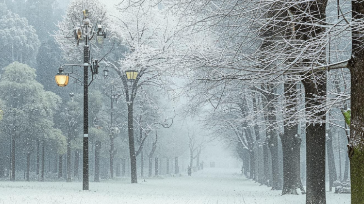 В четверг в Рязанской области ожидается мокрый снег и до +1 градуса