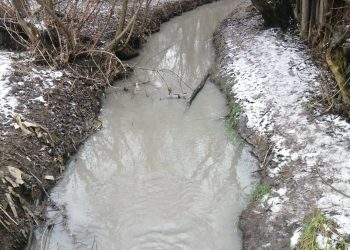 Ручей Быстрец в Рязани приобрел серый окрас