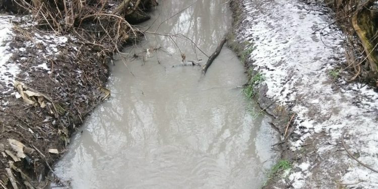 Ручей Быстрец в Рязани приобрел серый окрас